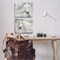 Stupell Industries Charming White Horses 2pc Canvas Wall Art Set Design by Victoria Barnes